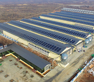 平邑云匯畜禽養(yǎng)殖專(zhuān)業(yè)合作社